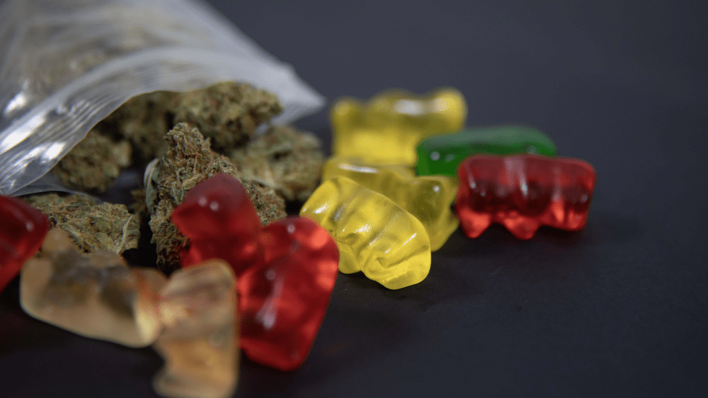 CBD Drinks vs. Gummies for Energy: Which Works Better for You?